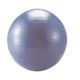 Gym Ball 55 cm Anti-burst Body Care