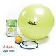 BULE DE GYM 65 CM AVEC POMPES AUSTRALIENNES