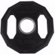 Plaques Tunturi 2.5kg trou fonte 50mm